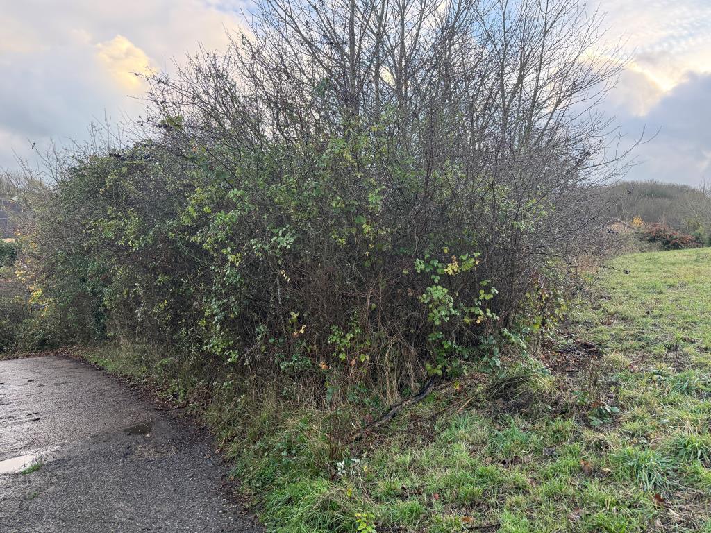 Lot: 63 - PARCEL OF LAND WITH POTENTIAL - Rear view of land from adjacent road